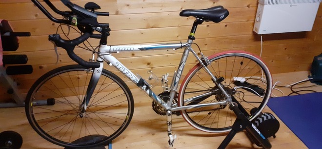 TREK Rennrad 