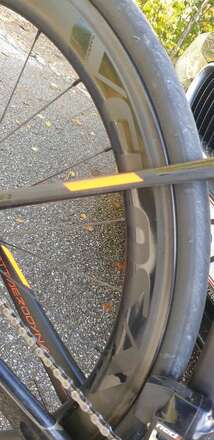 Scott Foil Premium Rennrad