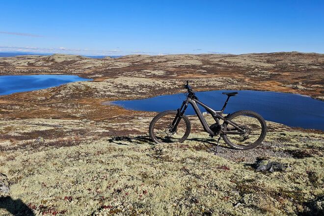 Scott Patron 920