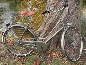 vente: RALEIGH The City Hollandrad wie Gazelle Oldie RH 57 3Gang Top