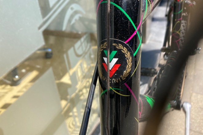 VICINI MTB 90er  cromo EXAGE 500LX