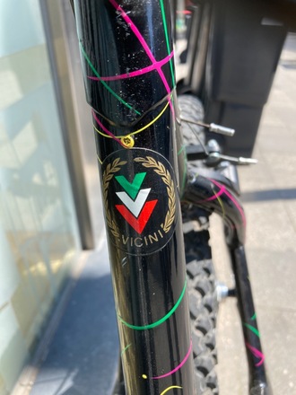 VICINI MTB 90er  cromo EXAGE 500LX