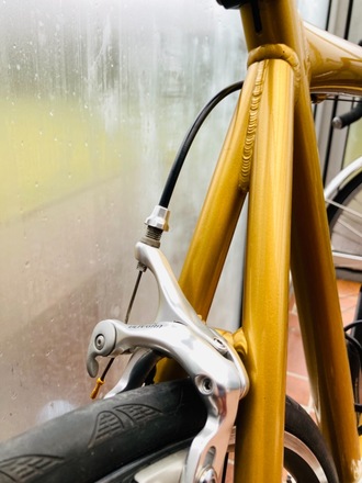 Rennrad Principia RSL Honey