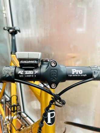 Rennrad Principia RSL Honey