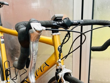 verkaufen: Rennrad Principia RSL Honey