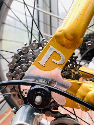 Rennrad Principia RSL Honey