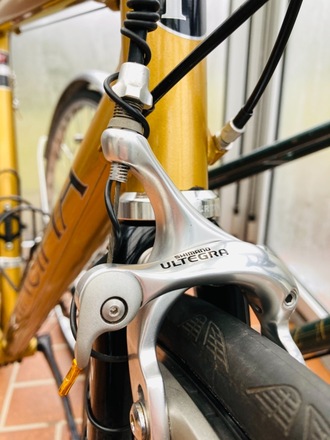 Rennrad Principia RSL Honey