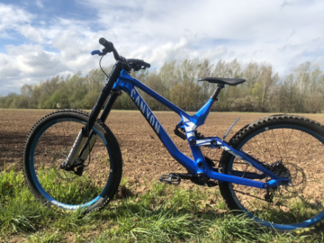 sell: Canyon Sender Custom (Gr.L)