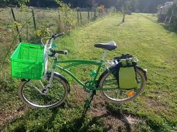 sell: Lastenrad Hollandrad Lastenfahrrad Grün