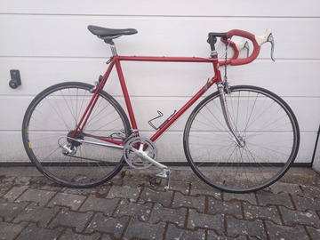 verkaufen: Colnago Sport