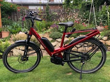 verkaufen: Riese & Müller Homage e-Bike