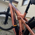 verkaufen: Scott Patron Contessa eRide 900