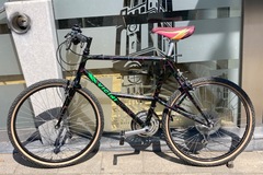 verkaufen: VICINI MTB 90er  cromo EXAGE 500LX